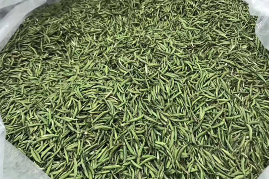 黎平雀舌属于什么茶