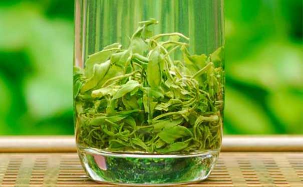 普安出好茶，2022年“贵州绿茶”第一采活动侧记