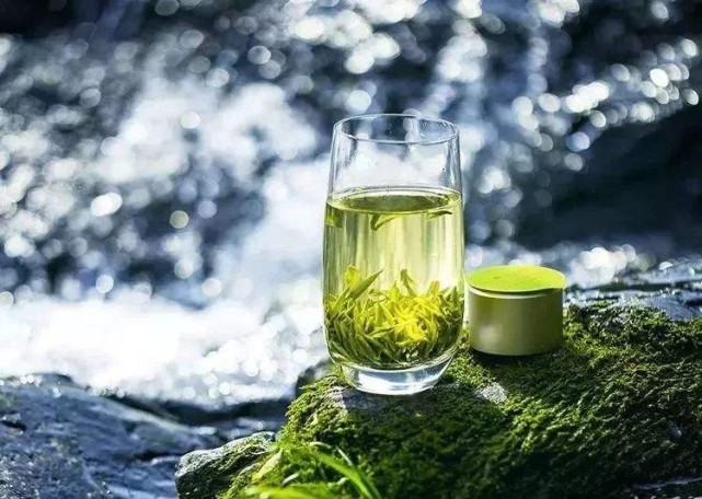 “中国茶”如何助力乡村振兴